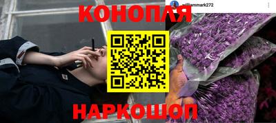 МДПВ Краснодар